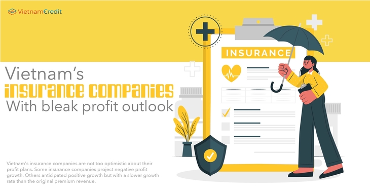 Vietnam’s insurance companies with bleak profit outlook